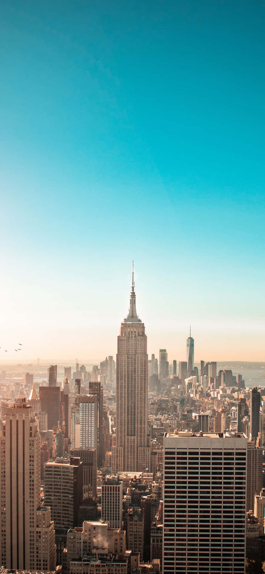 Goditii Panorami Di New York Con L'ultimo Iphone, L'iphone Xs.