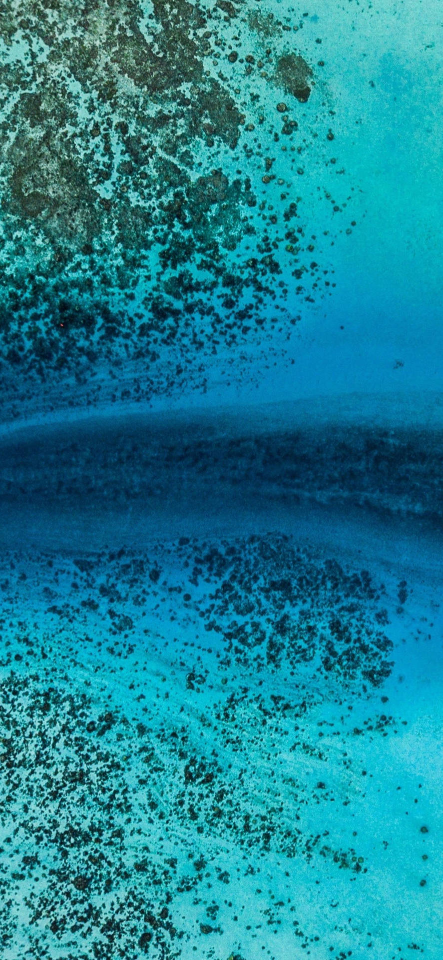 Iphonexs Ozeankorallenriffe Wallpaper