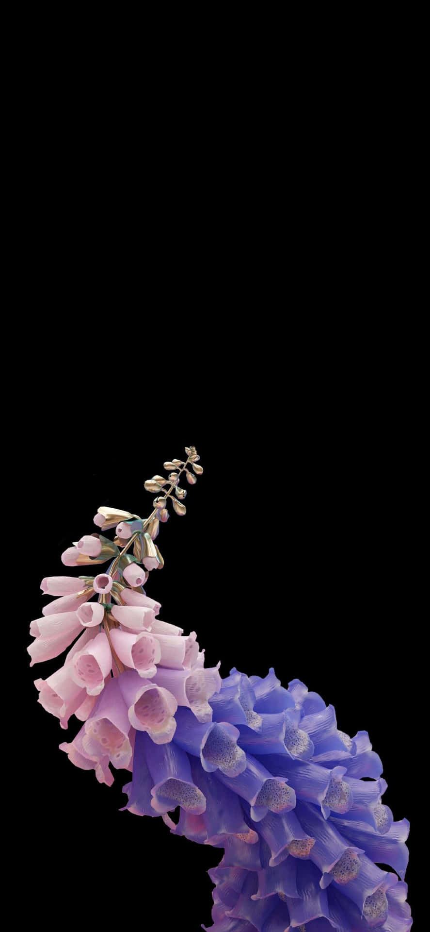 Foxglove Flower iPhone XS OLED Background