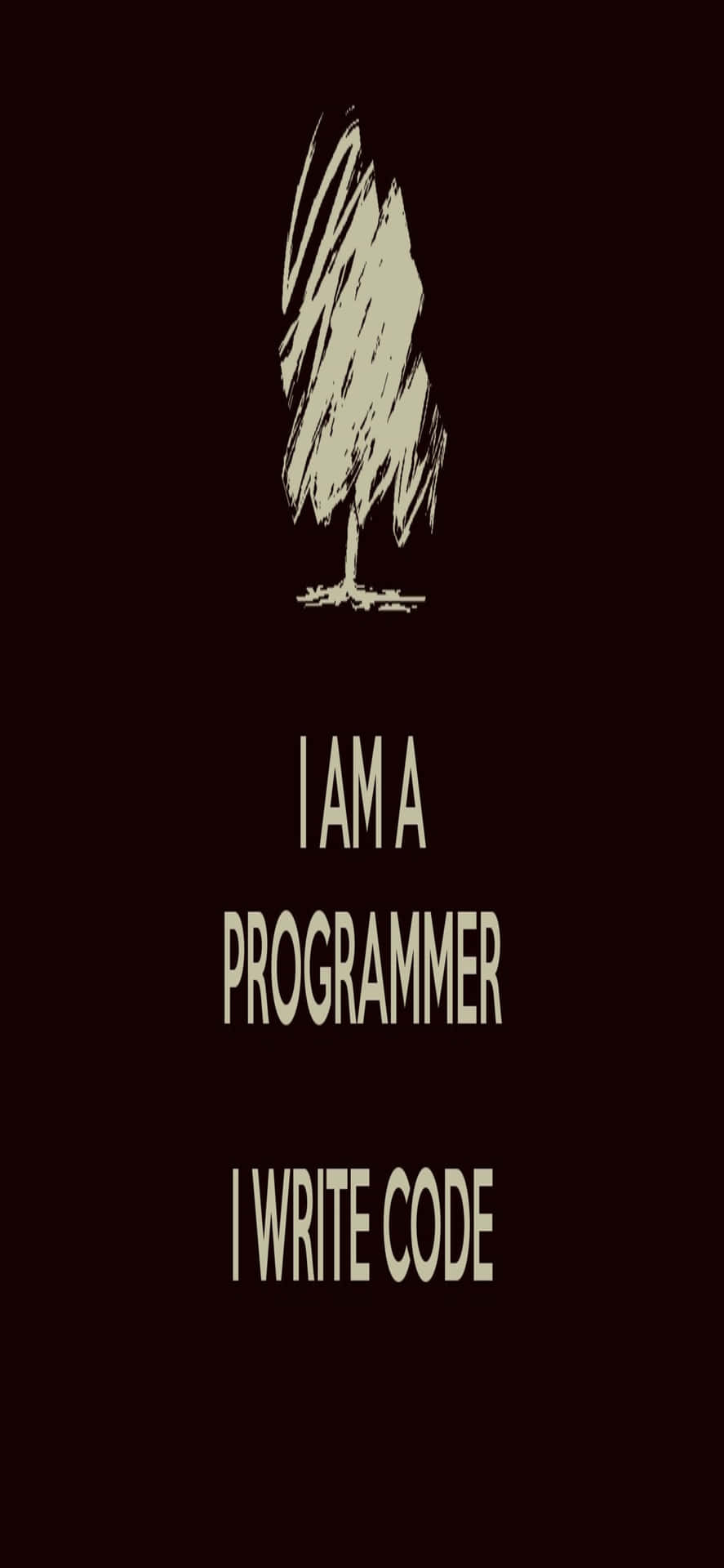 Iphonexs Programmeringsbakgrund Programmerarcitat.