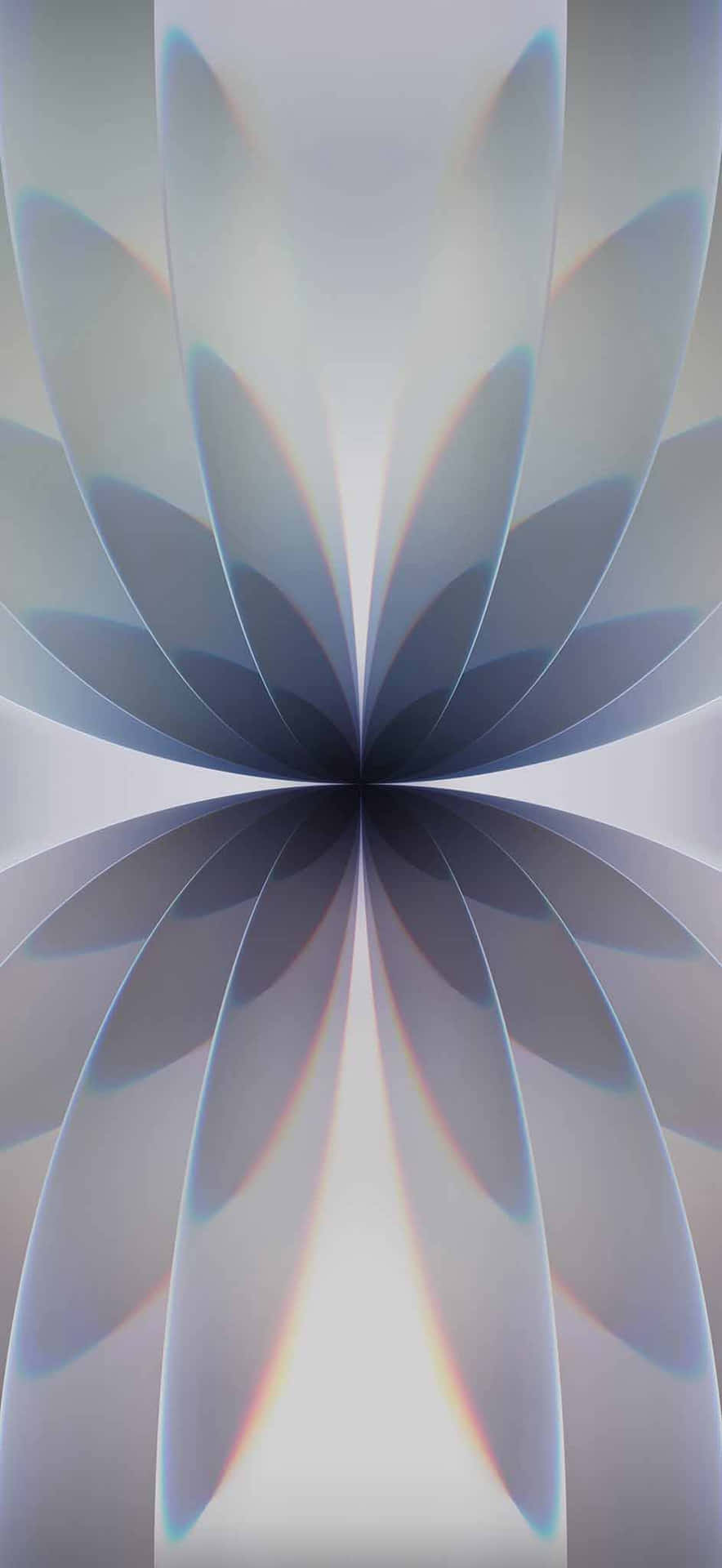 Fondo Abstracto De Flor Para Iphone17 Fondo de pantalla