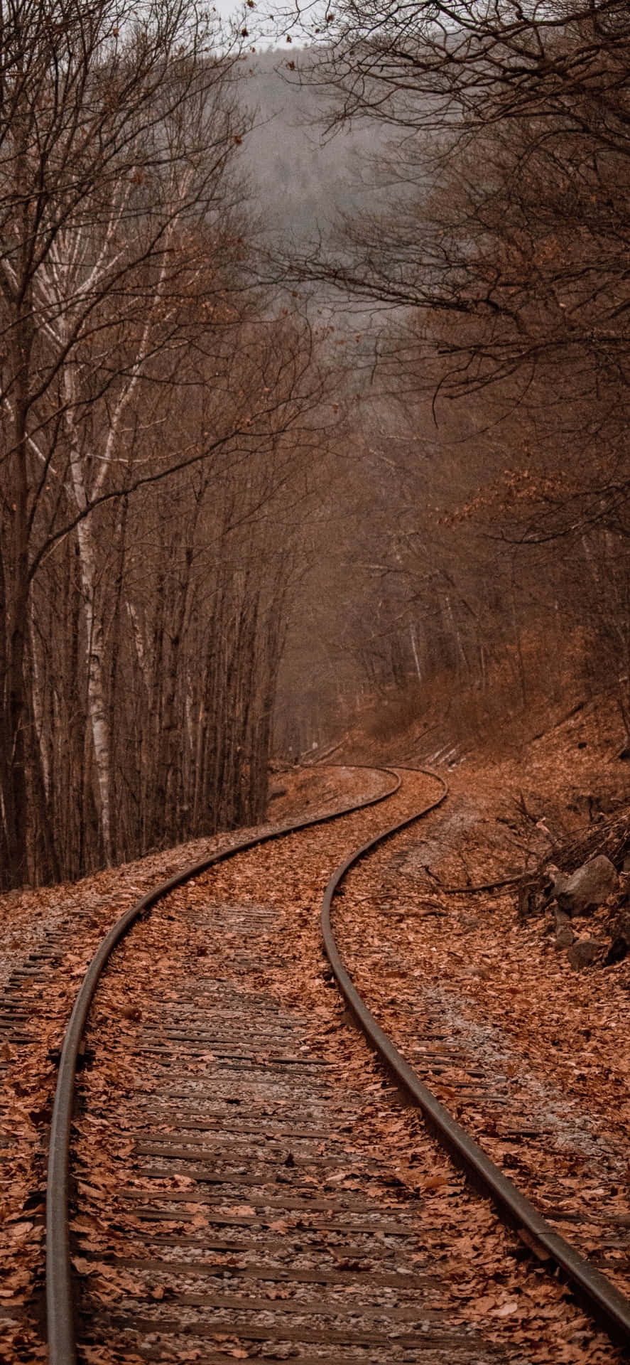 IPhones XS Max Railway Full Of Autumn Leaves Wallpaper