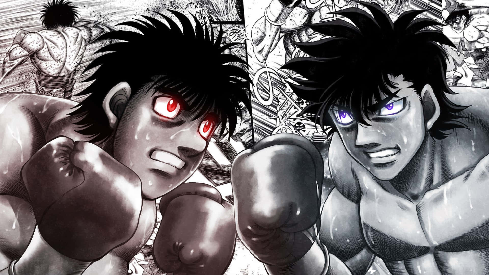 Ippo Makunouchi Anime Nyrkkeilyottelu Taustakuva