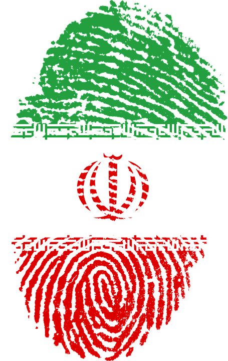 Iranian Fingerprint Flag Art PNG