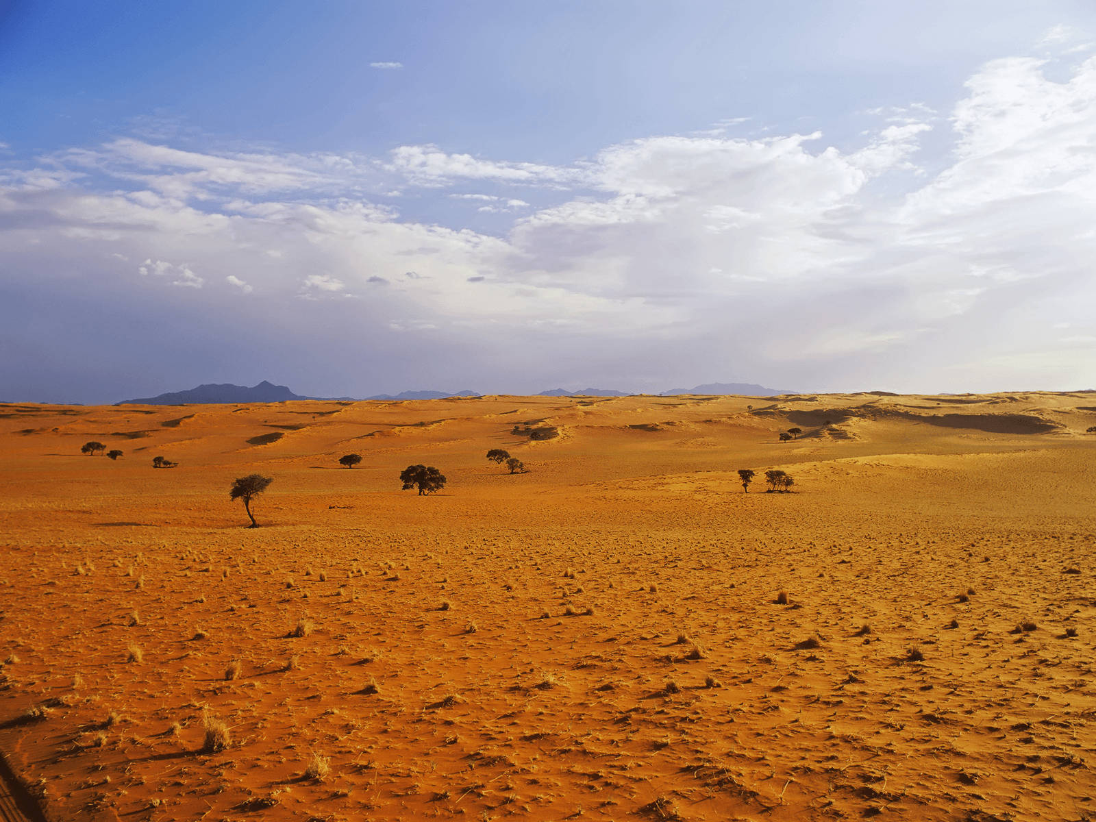 Iraq Desert Landscape Bright Sky Wallpaper