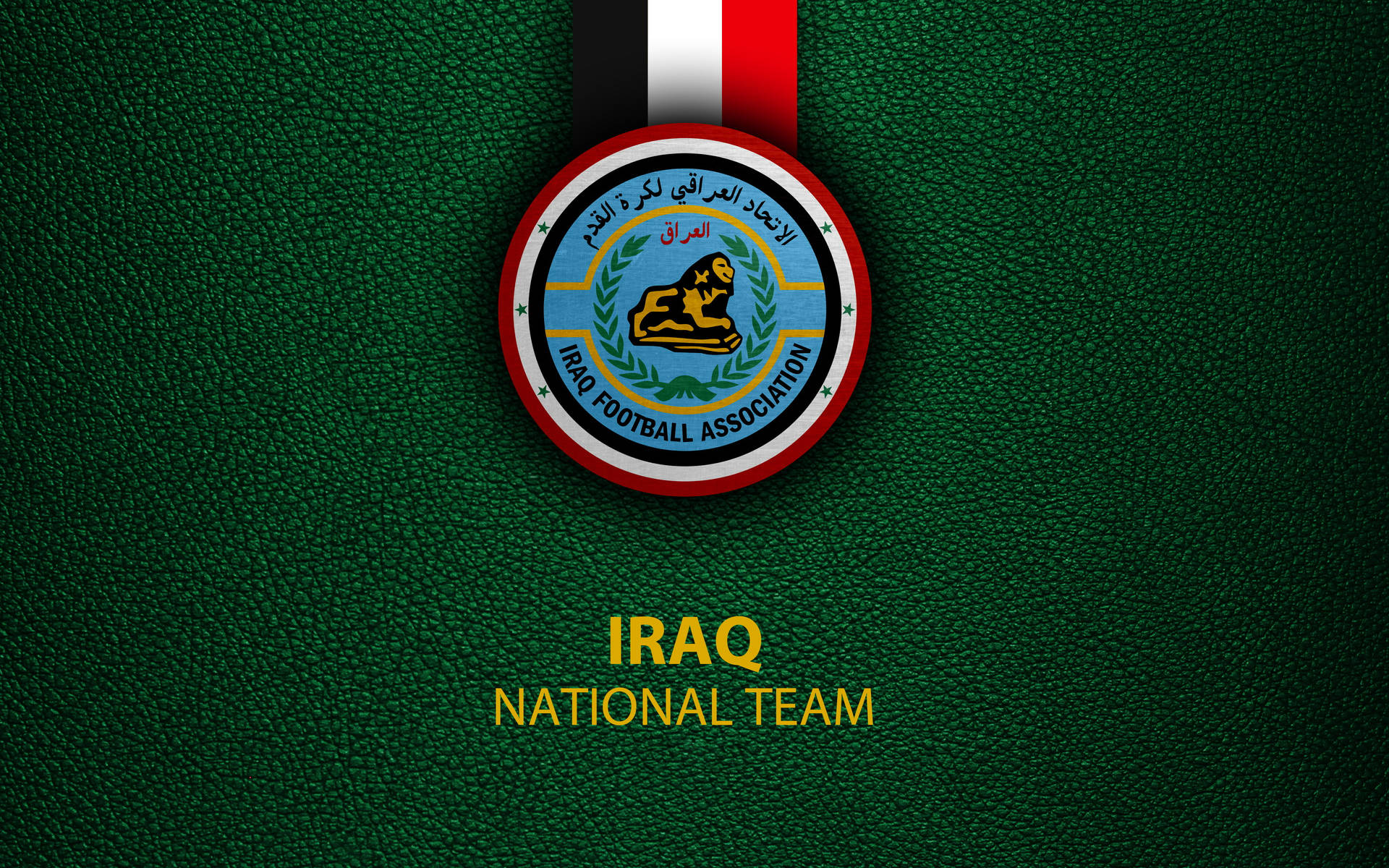 Iraq Football Association Dark Green