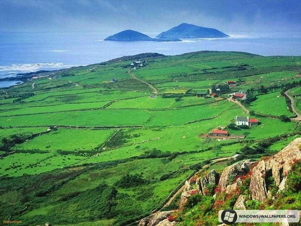 Scenic Irish Countryside Landscape