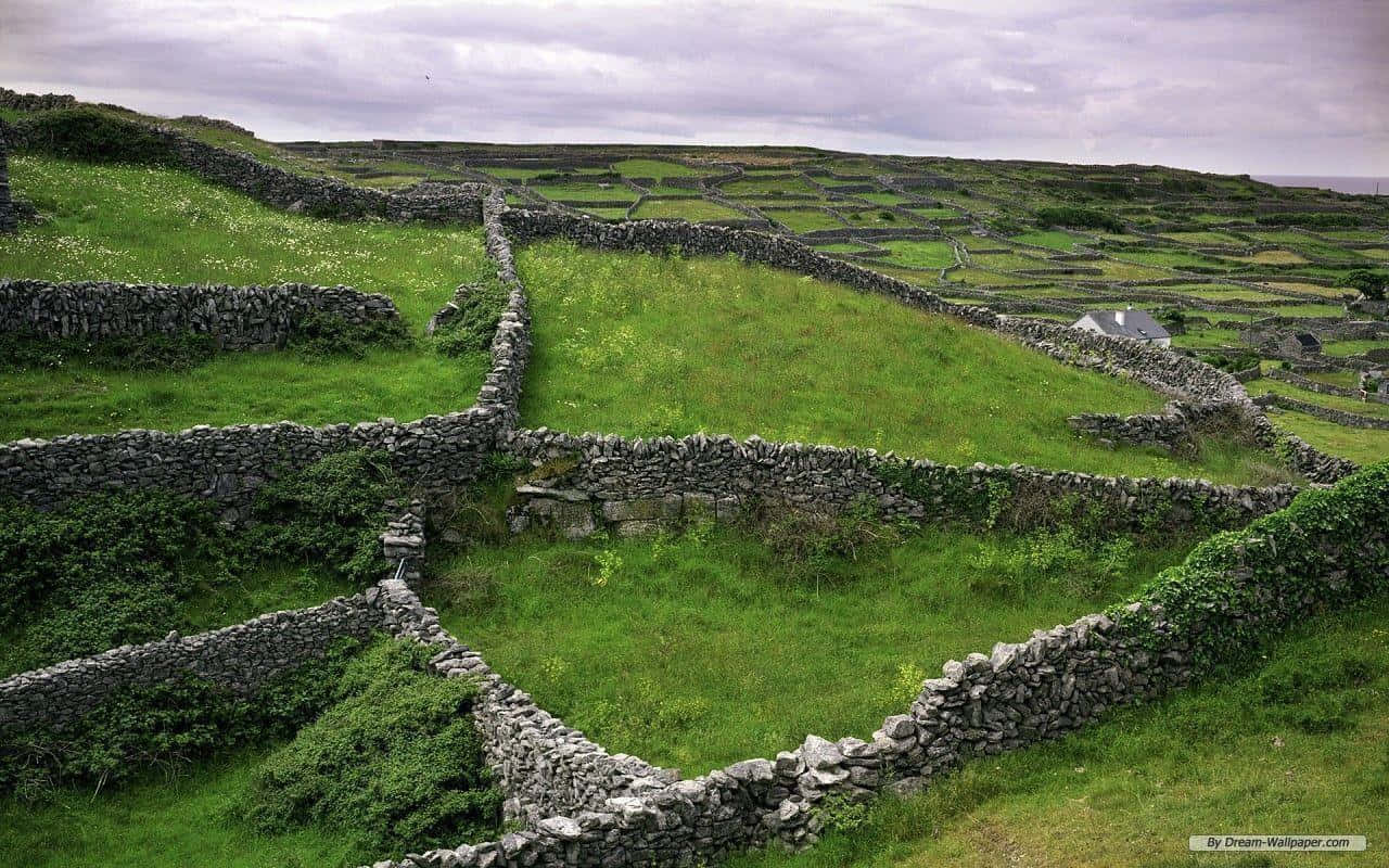 Captivating Irish Landscape