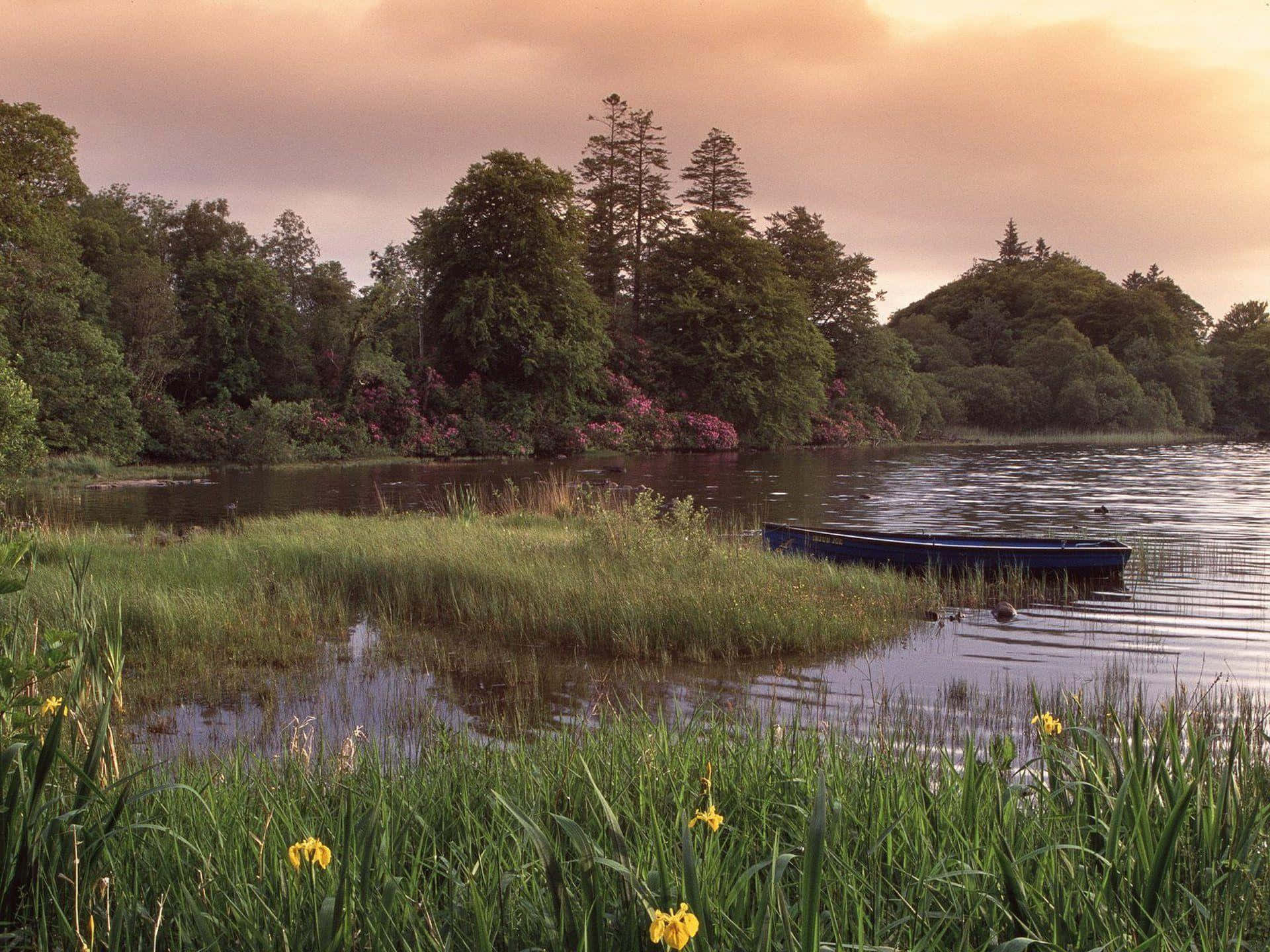 Beautiful Irish Countryside Landscape
