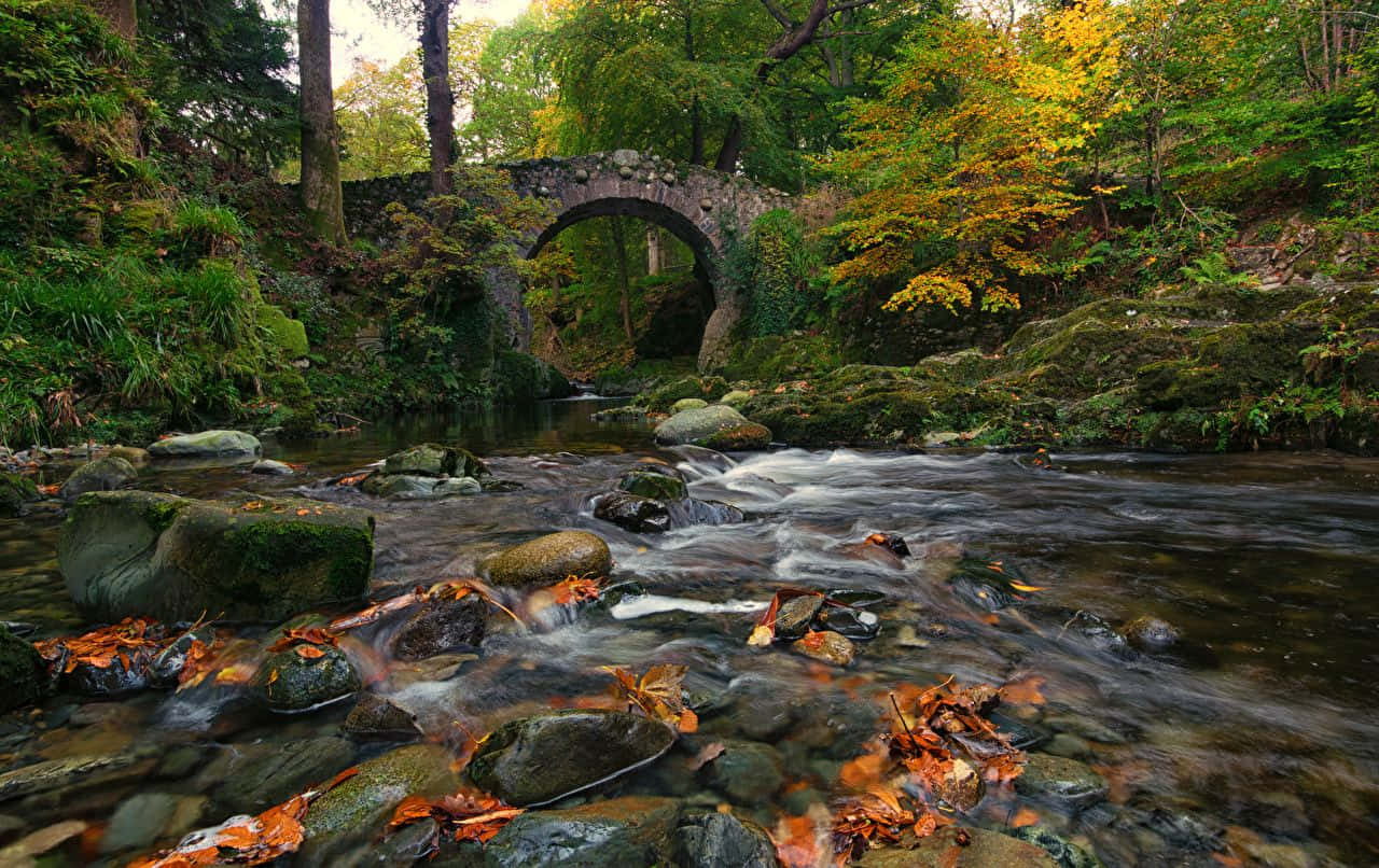 Stone Bridge In Rocky River Ireland Desktop Wallpaper