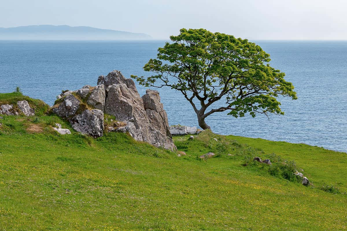 Enjoy the Emerald Isle in Ireland