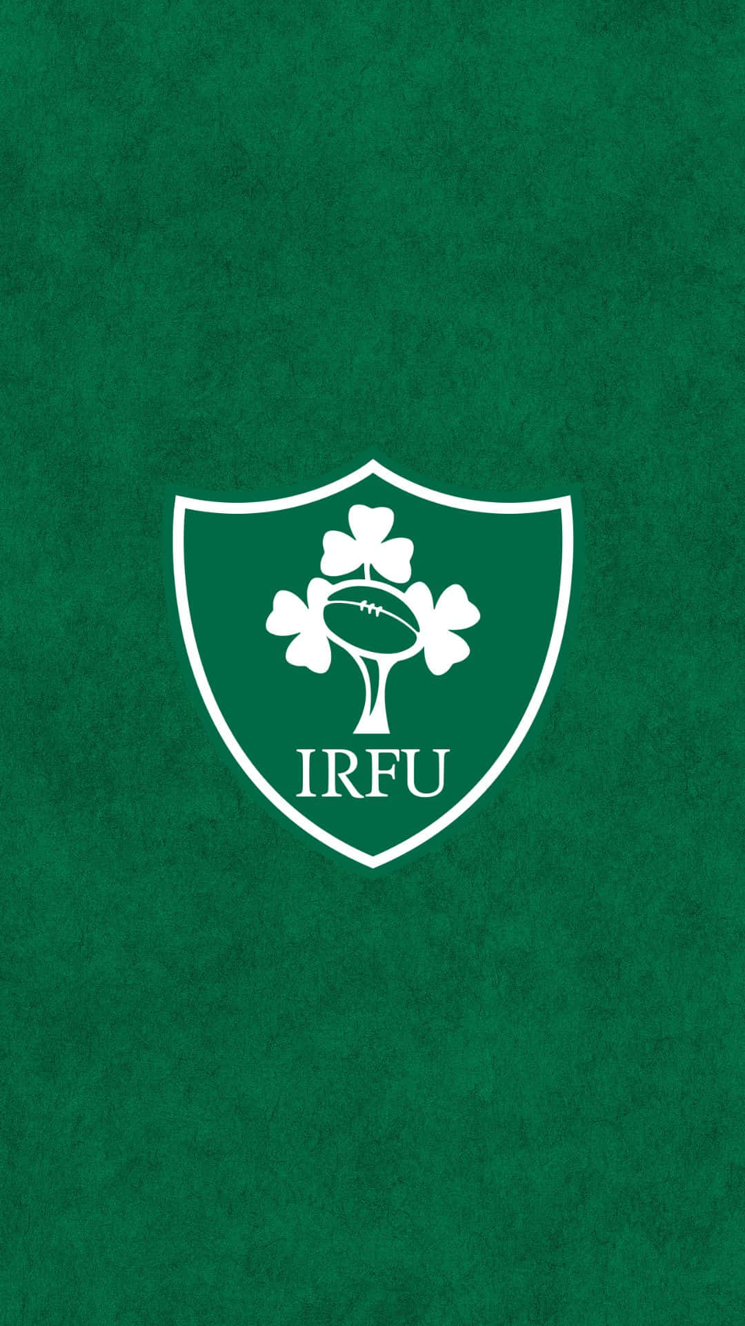 Bildetekst: Irland Rugbylag Feirer Seier Bakgrunnsbildet