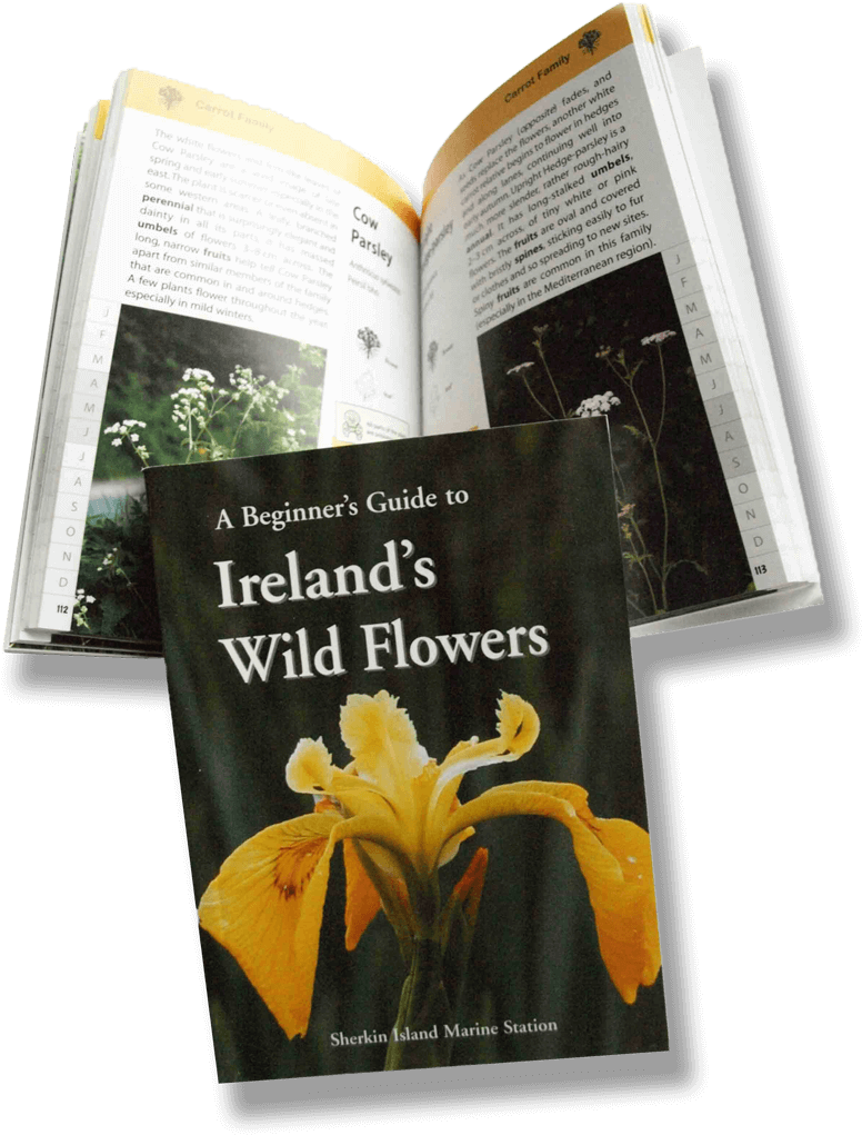 Irelands Wild Flowers Guide Book PNG