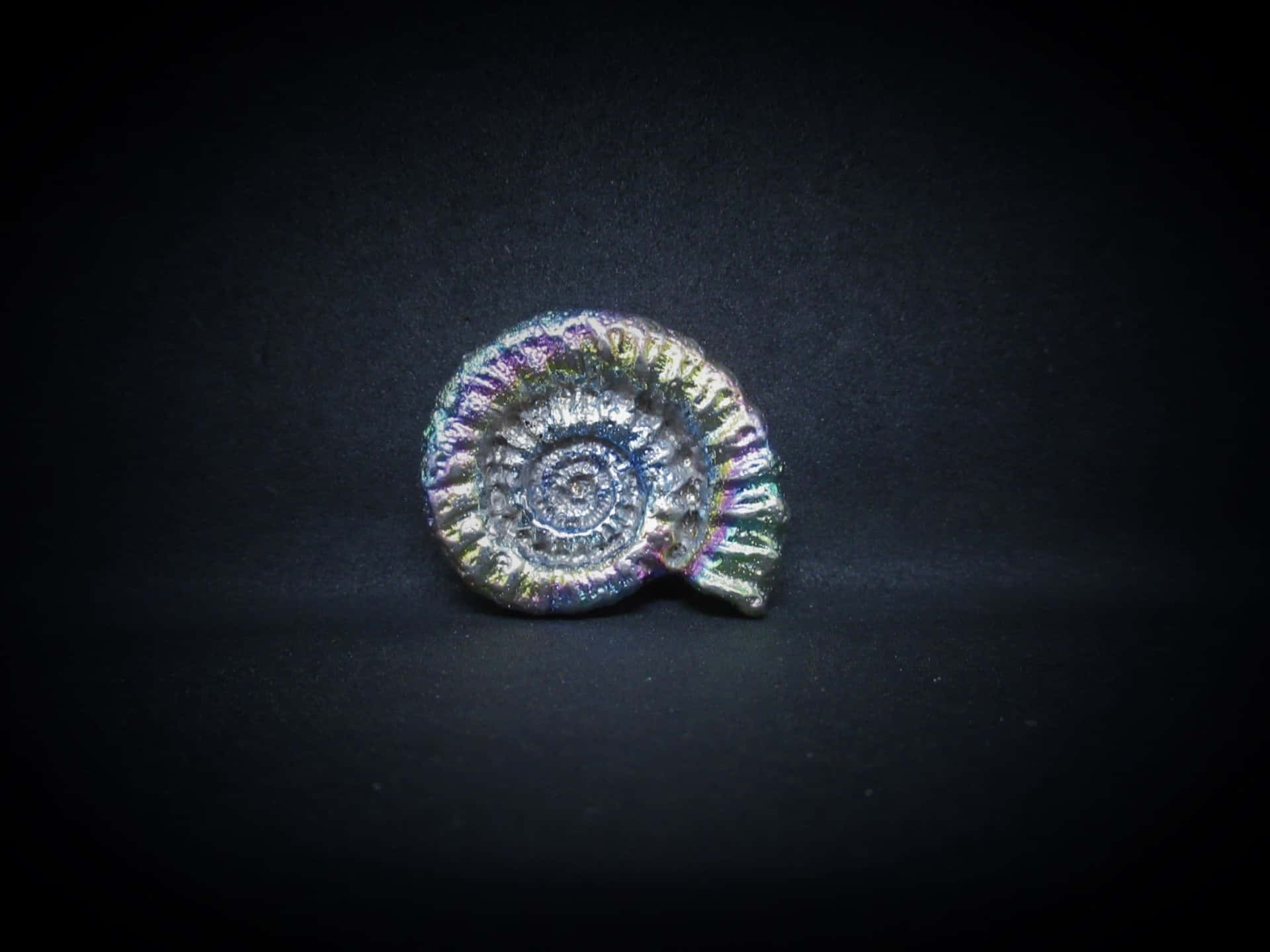 Iridescent Ammonite Fossil Wallpaper