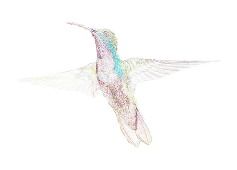 Iridescent Hummingbird Artwork PNG