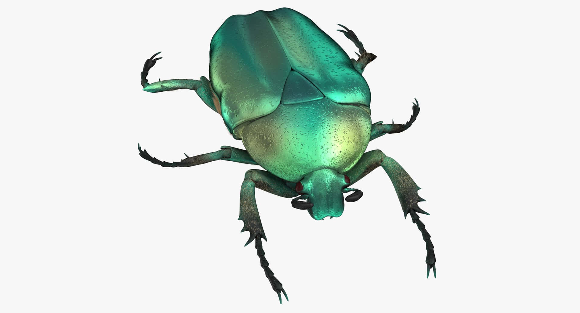 Iridescent Scarab Beetle Illustration Wallpaper