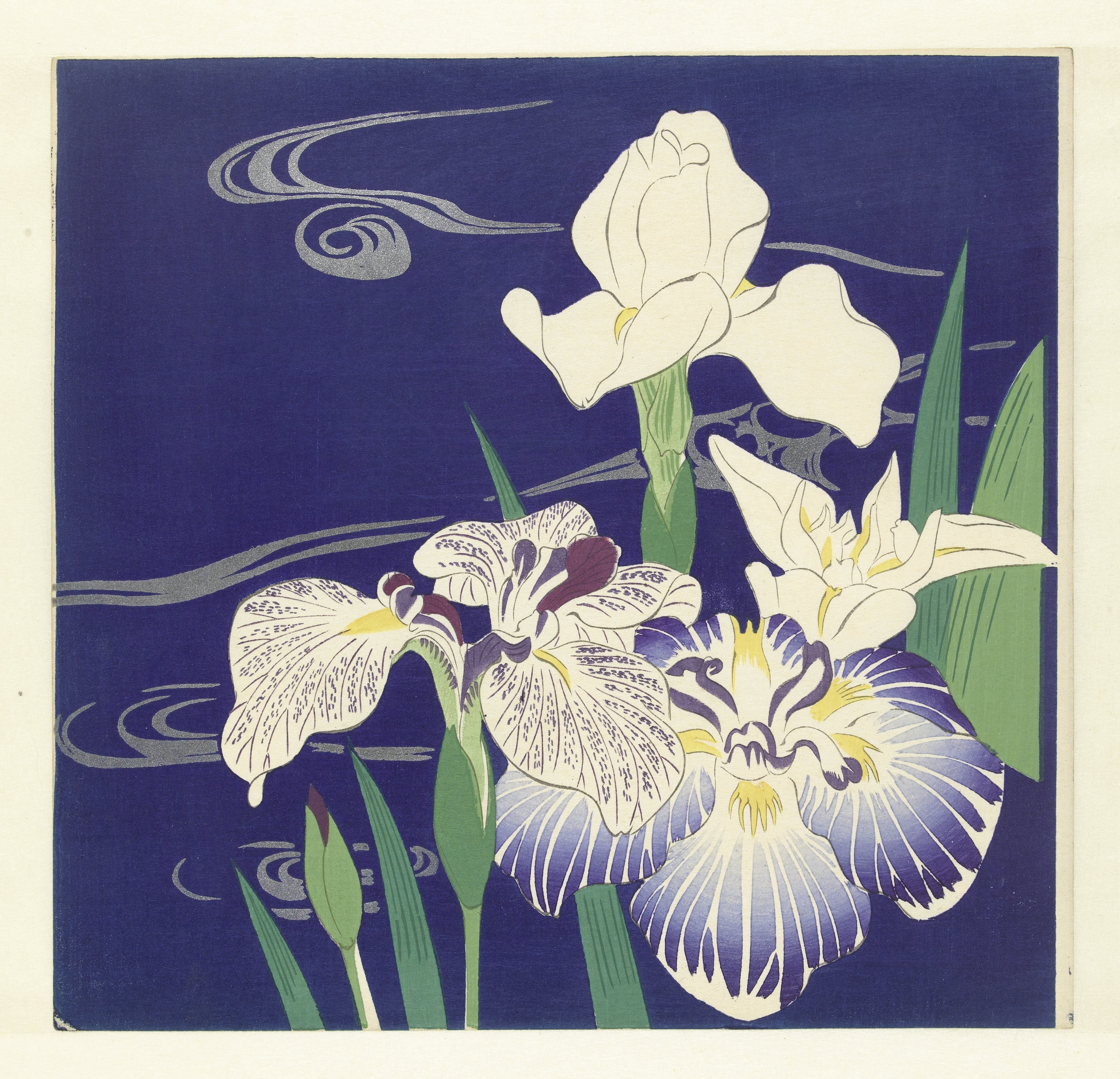 Irises Wallpaper