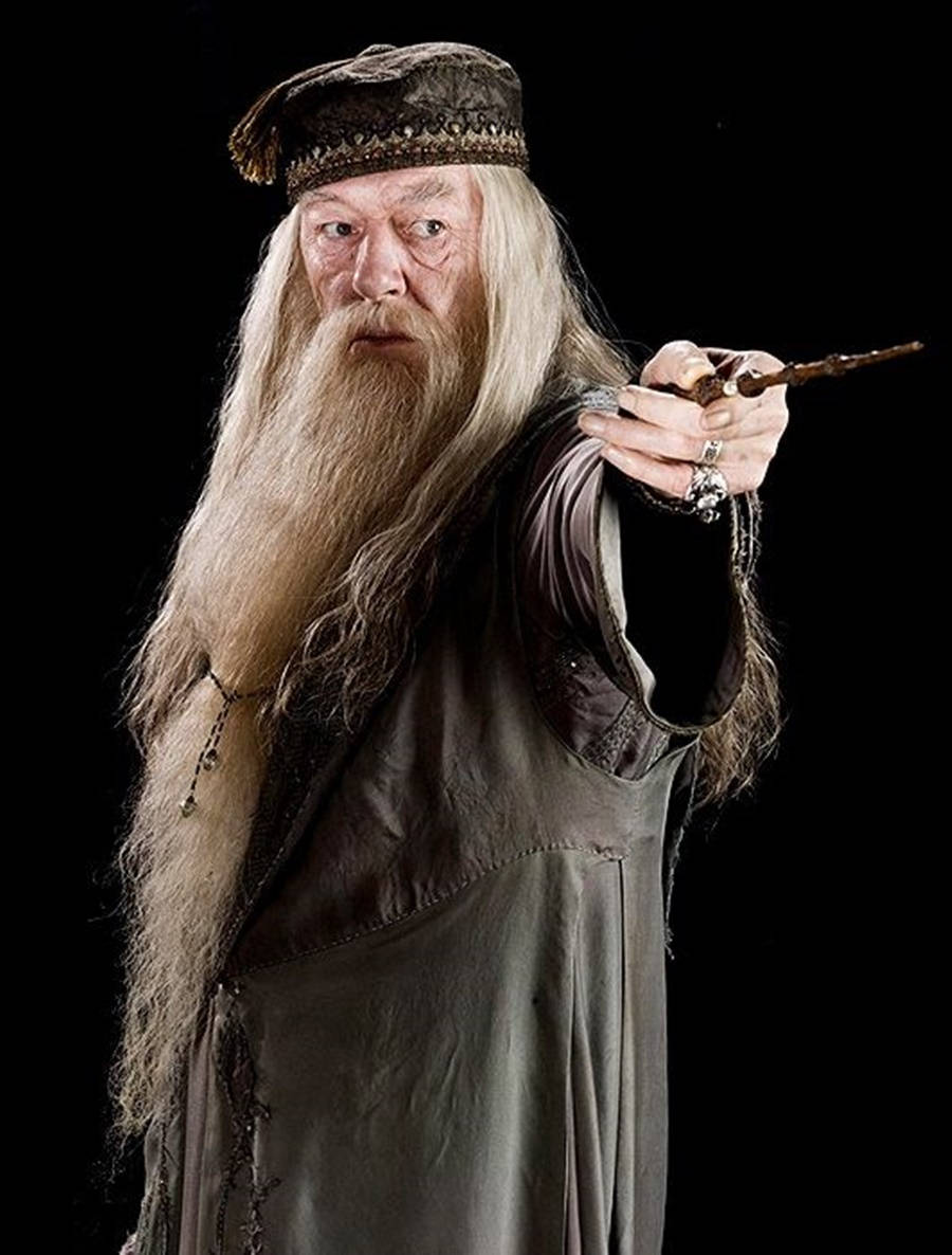 Derirische Schauspieler Richard Harris Beim Fotoshooting Als Professor Albus Dumbledore. Wallpaper