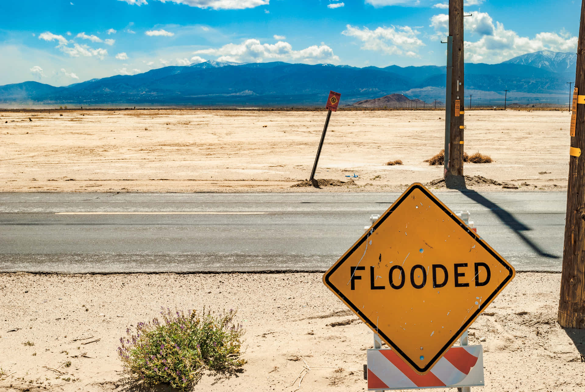 Ironic Flooded Sign Board In A Desert Wallpaper