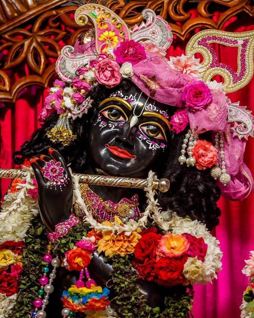 Top 999 Lord Krishna Iskcon Images Amazing Collection Lord Krishna