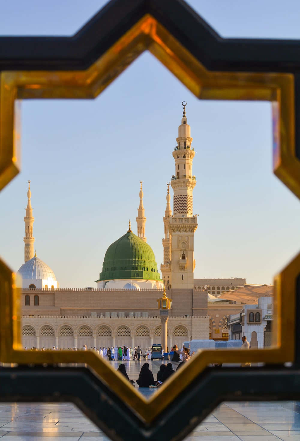 Umamesquita Com Uma Moldura Dourada Ao Fundo