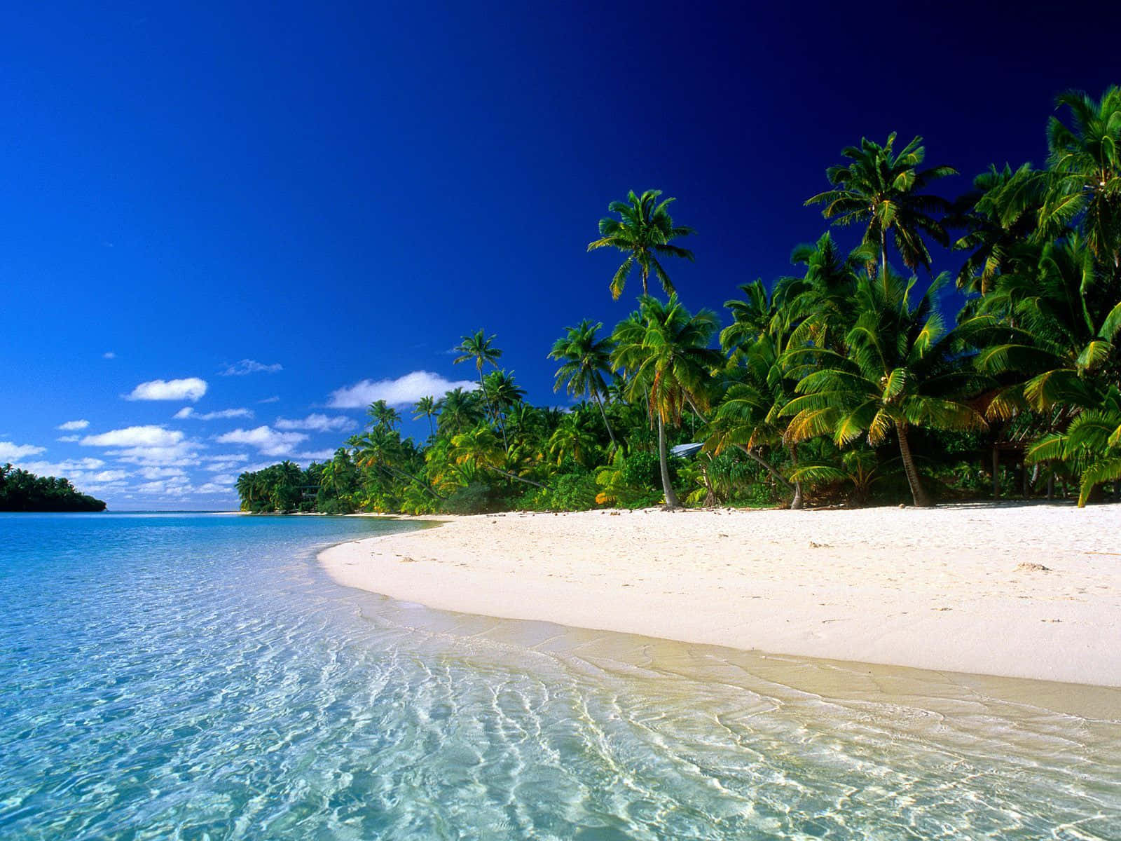 A Beach With Palm Trees And Clear Water