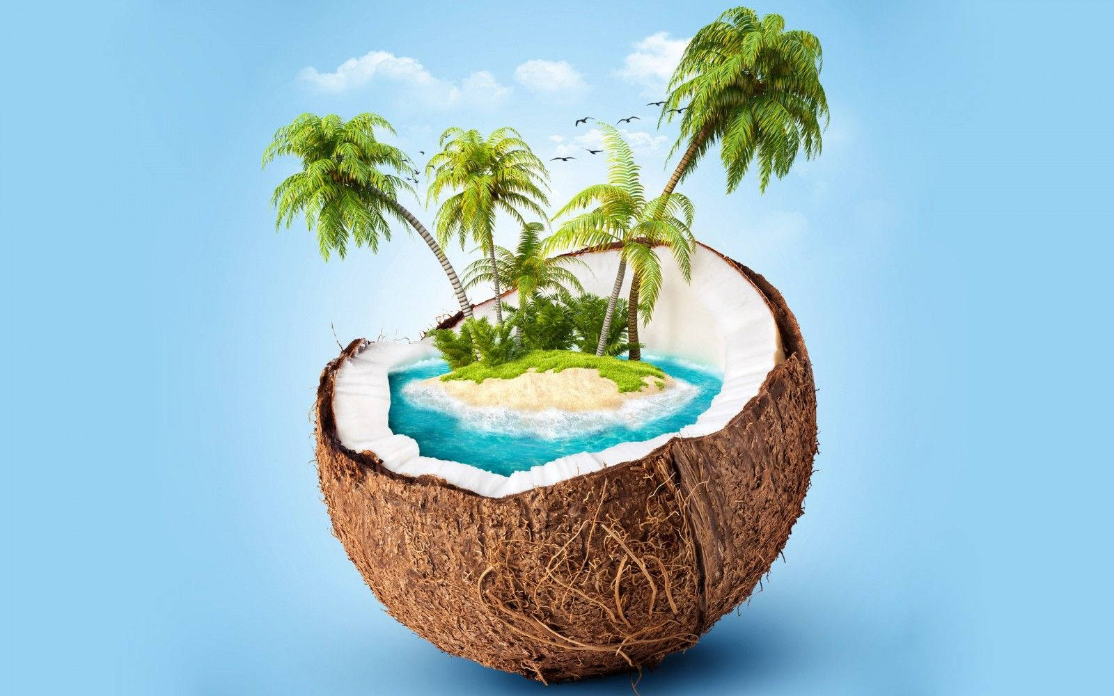 Island Inside A Coconut Art Wallpaper