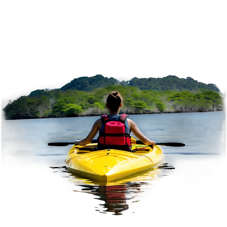 Island Mangrove Kayaking Tour Png Lgd16 PNG