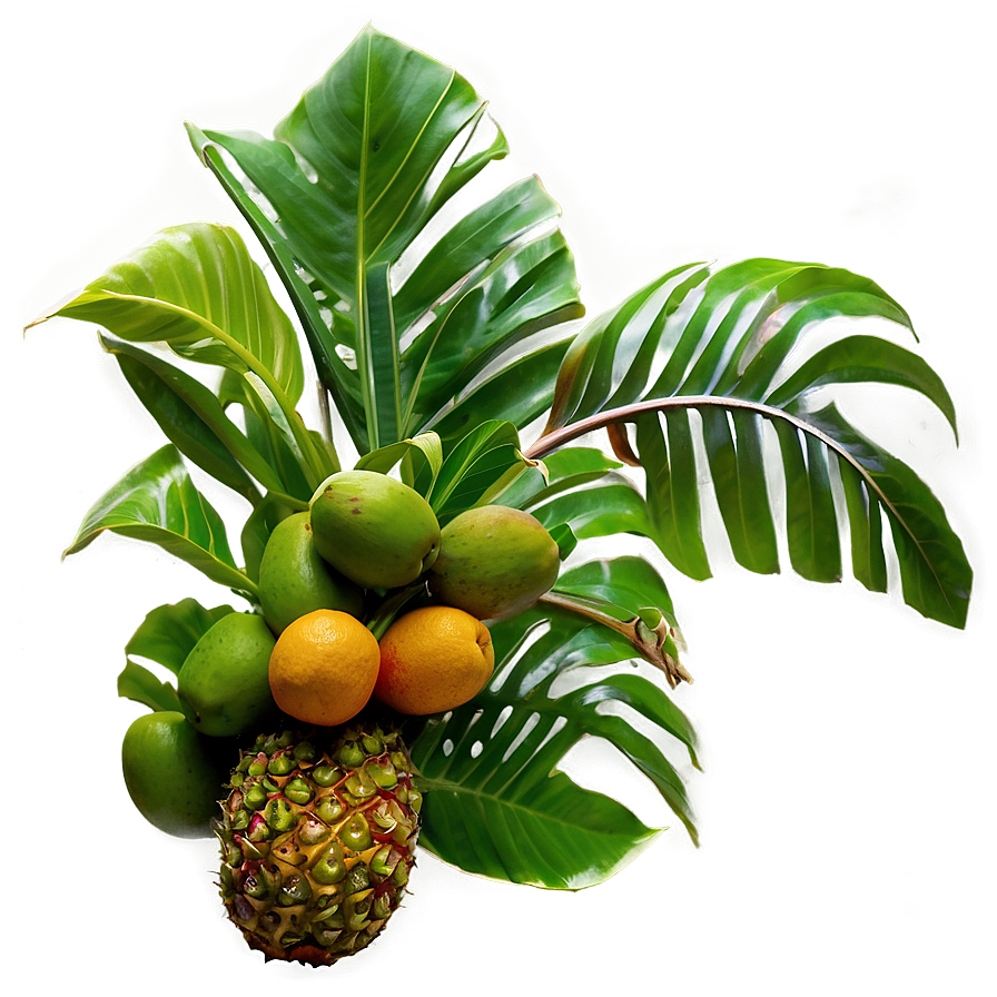 Island Tropical Fruit Harvest Png 05232024 PNG