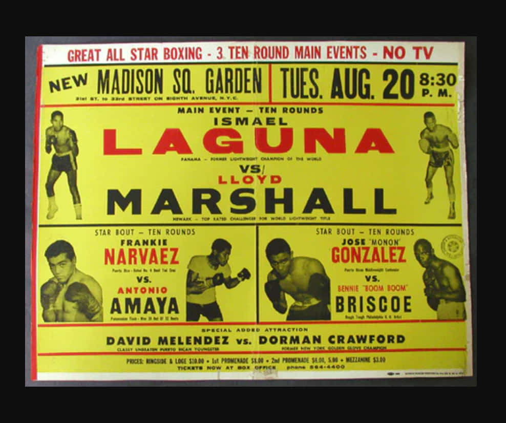 Ismael Laguna And Lloyd Marshall Poster Wallpaper