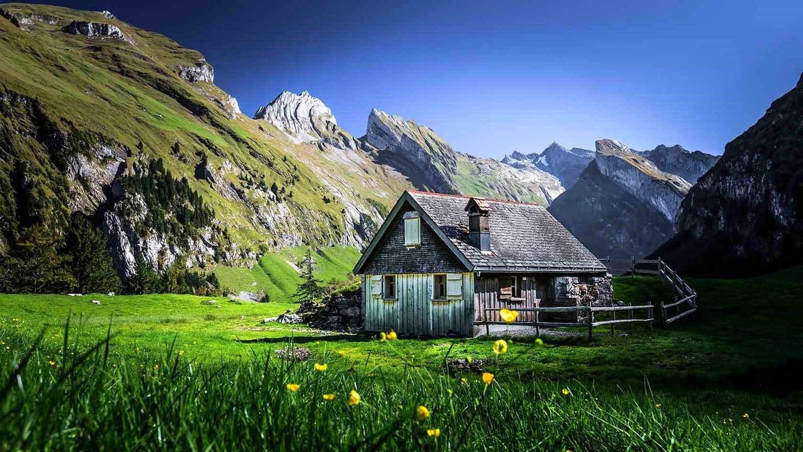Isolated Cabin Field Wallpaper