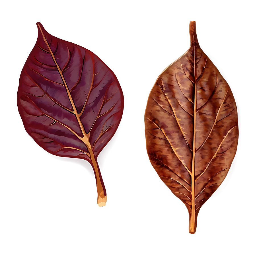 Isolated Fall Leaf Png 75 PNG