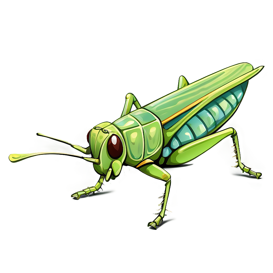 Isolated Grasshopper Image Png Tdh PNG