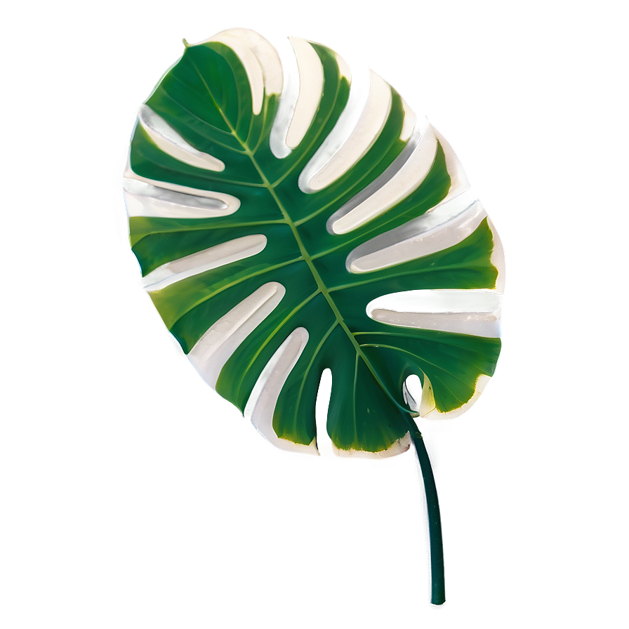Isolated Monstera Leaf Png Jaq70 PNG