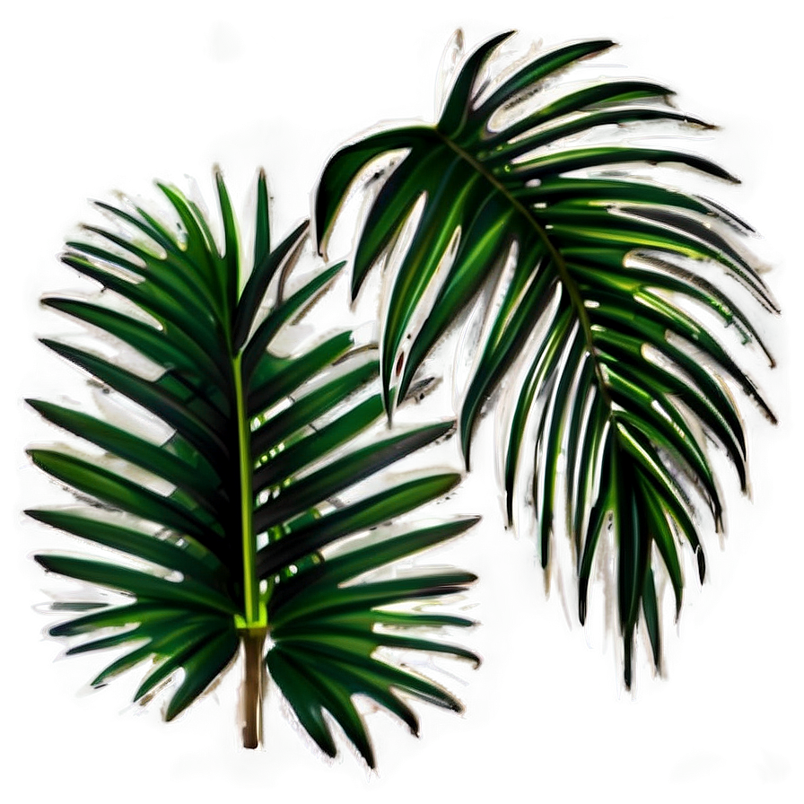 Isolated Palm Leaves Png Qpf PNG