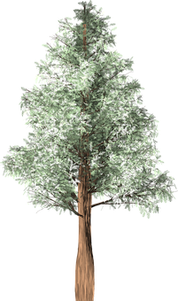Isolated Treeon Black Background PNG