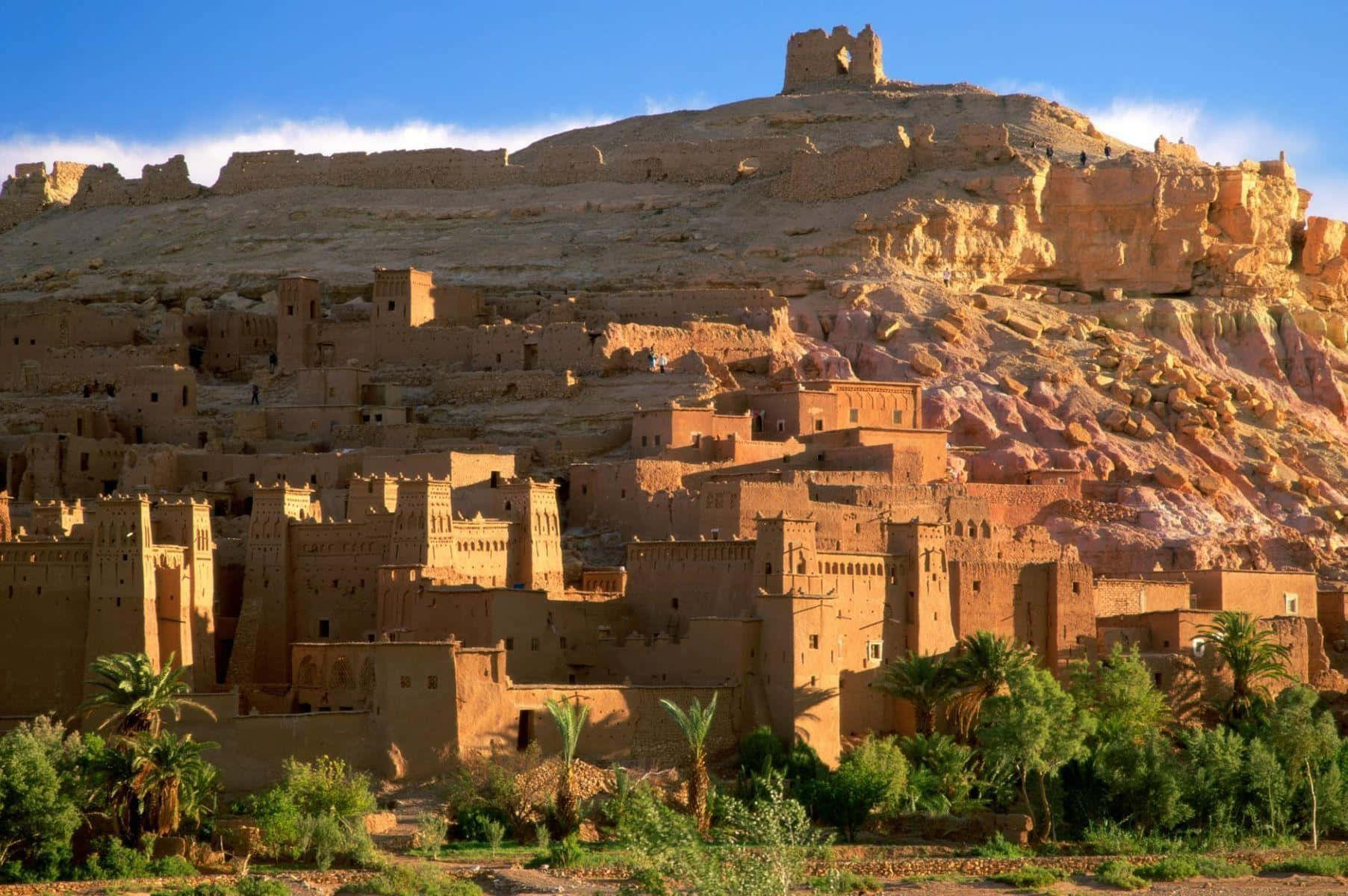 Israelfundo De Tela 1805 X 1200