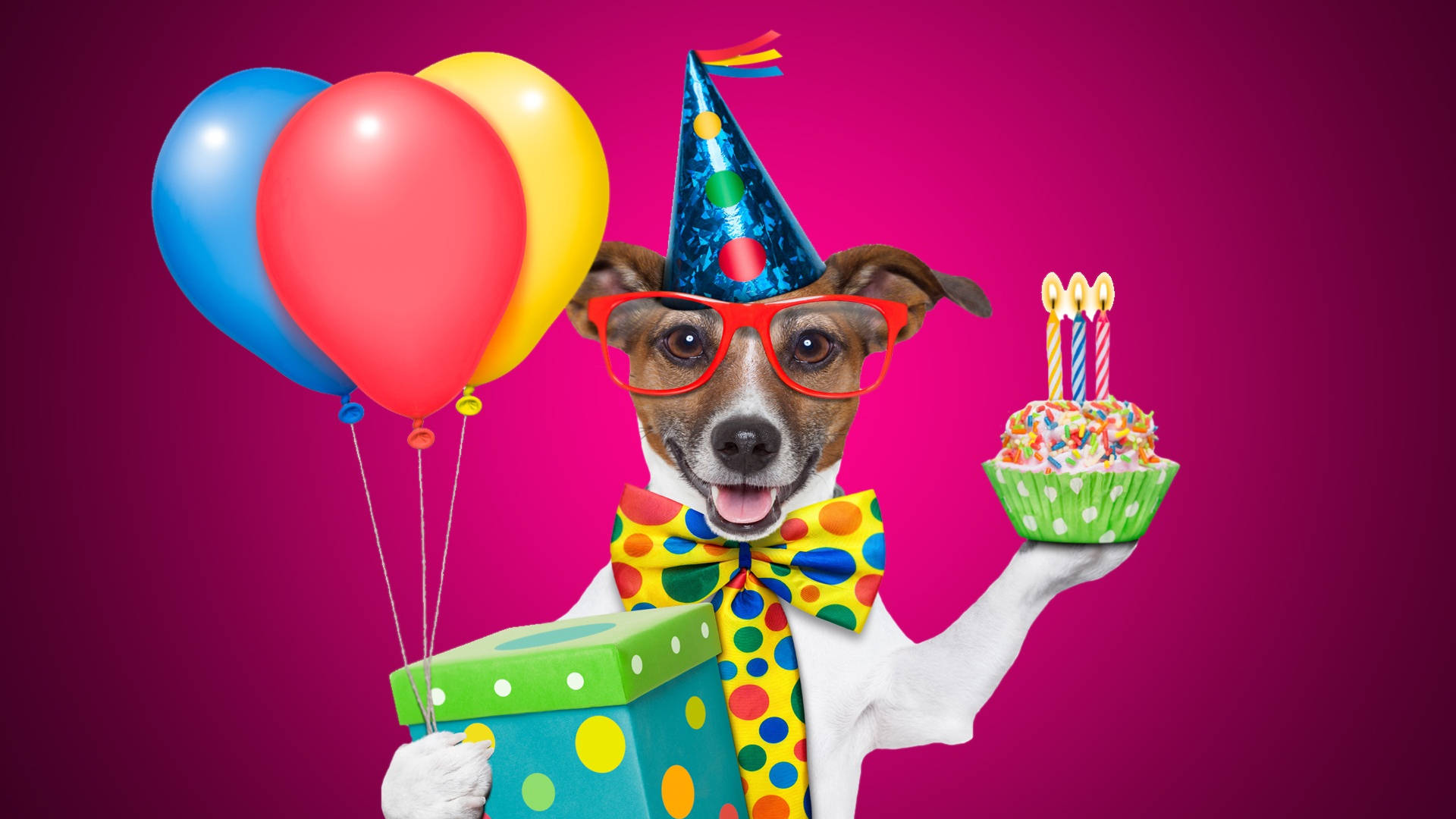 Esmi Cumpleaños, Perro Con Gafas. Fondo de pantalla