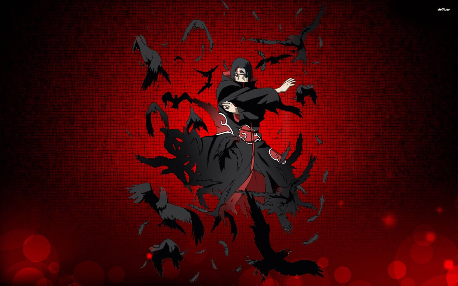 Crow Zero Series (Crows [クローズ Kurōzu]) | Anime Amino