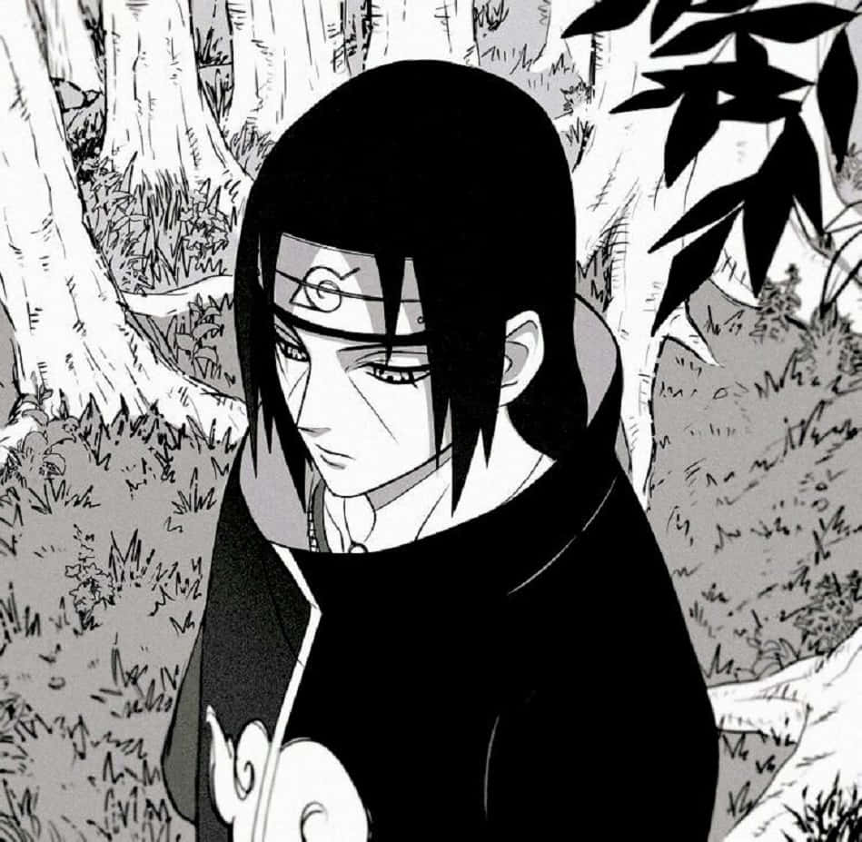 Itachi Uchiha Forest Contemplation Wallpaper