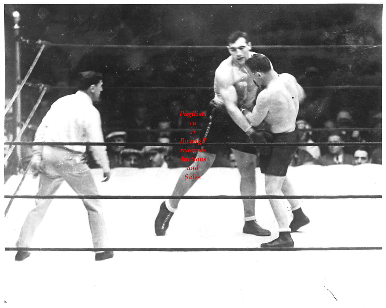 Italian Professional Boxer Primo Carnera Against Jim Maloney Picture