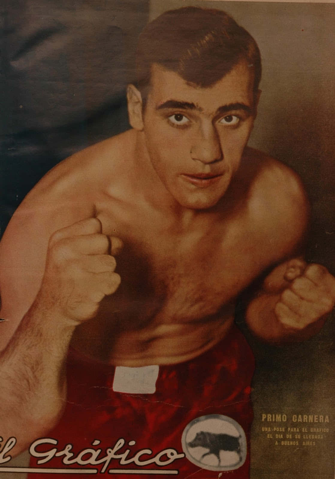 Italian Professional Boxer Primo Carnera Red Shorts Poster Picture