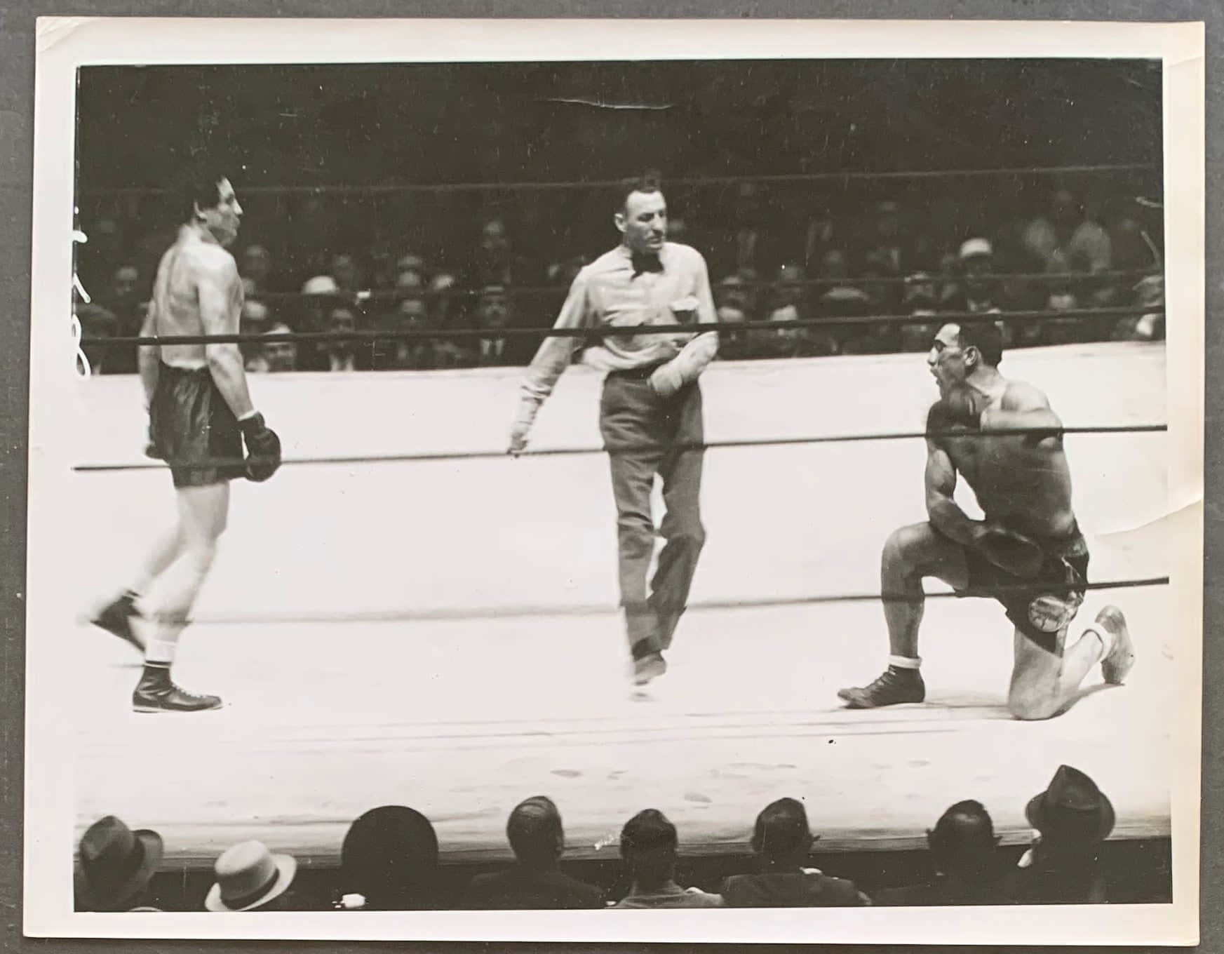 Italian Professional Boxer Primo Carnera Taking A Knee 1934 Background