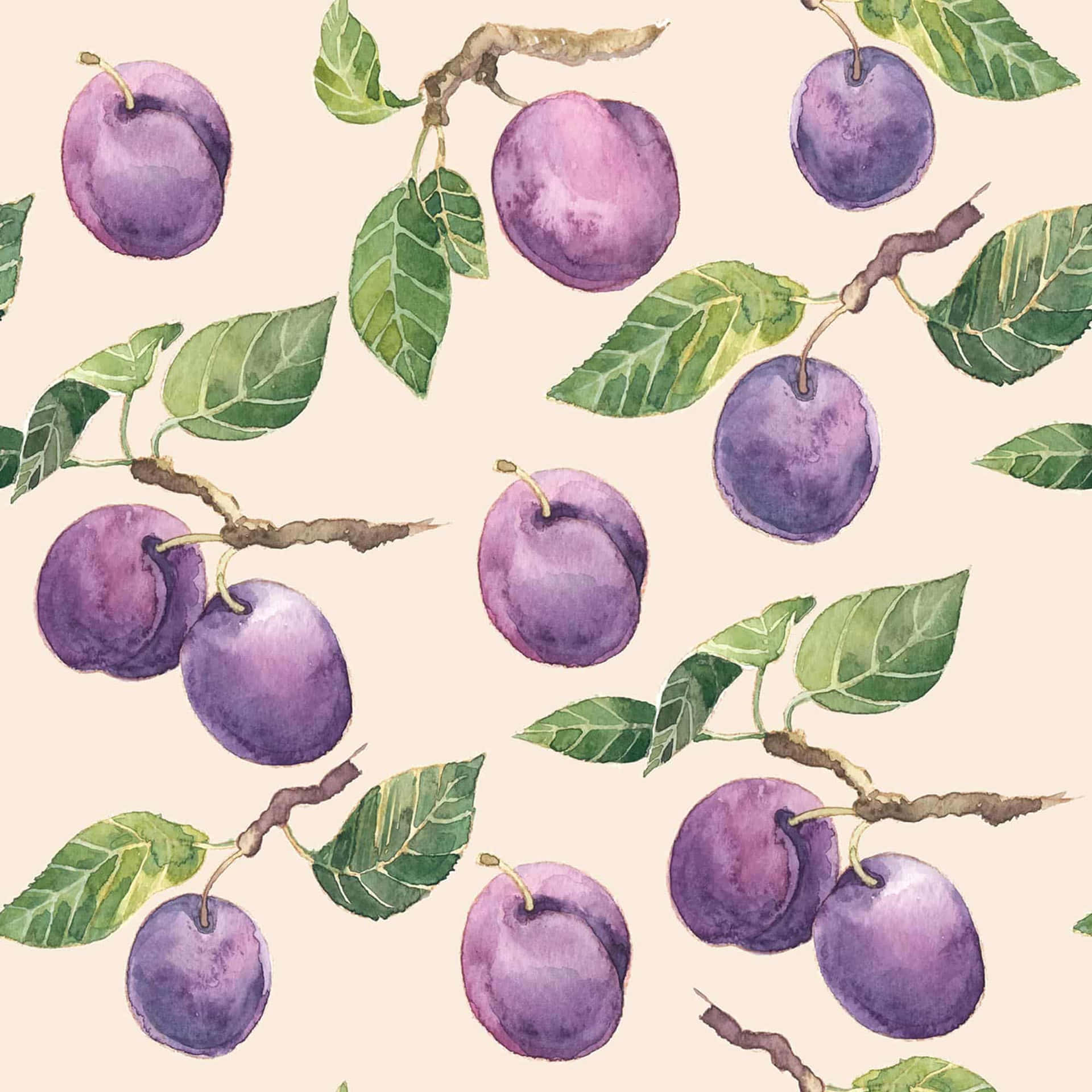 Italian Prune Plum Watercolor Illustration Pattern Wallpaper