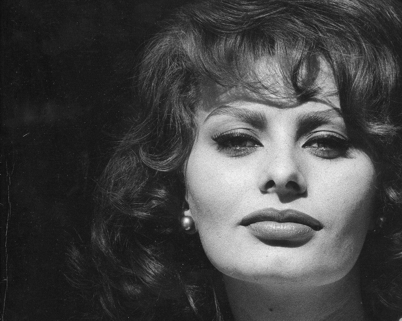 Italian Star Sophia Loren Wallpaper