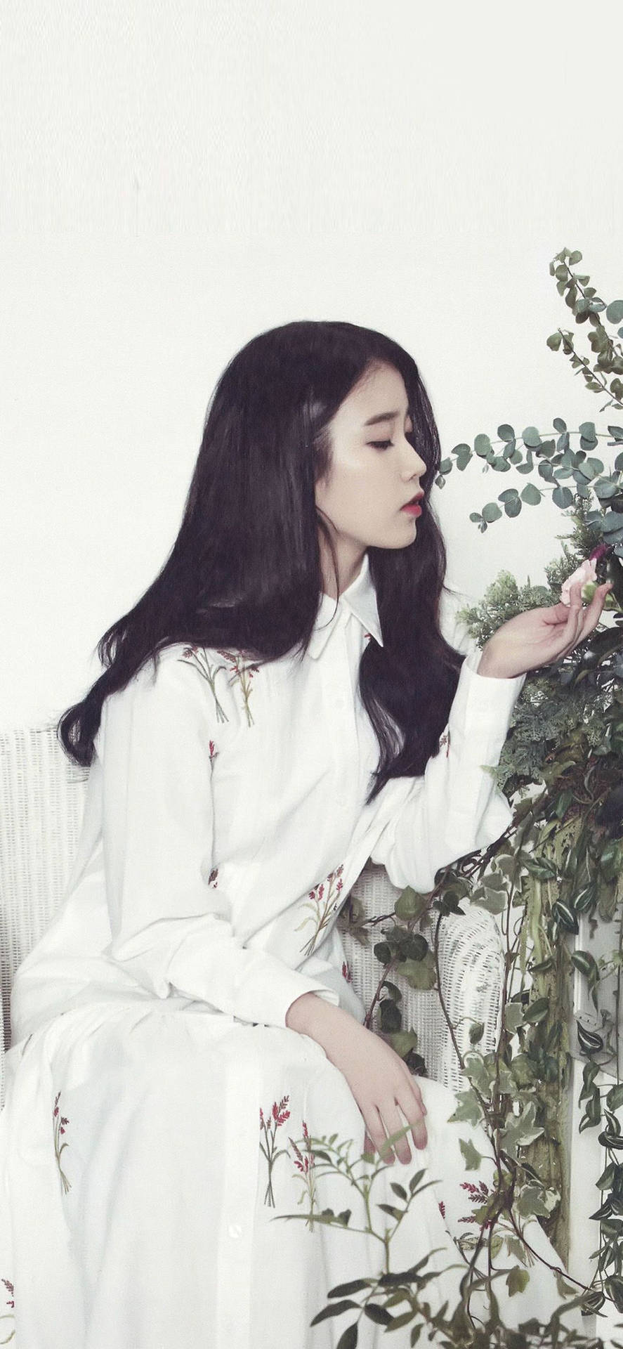 IU In White Touching A Flower Wallpaper