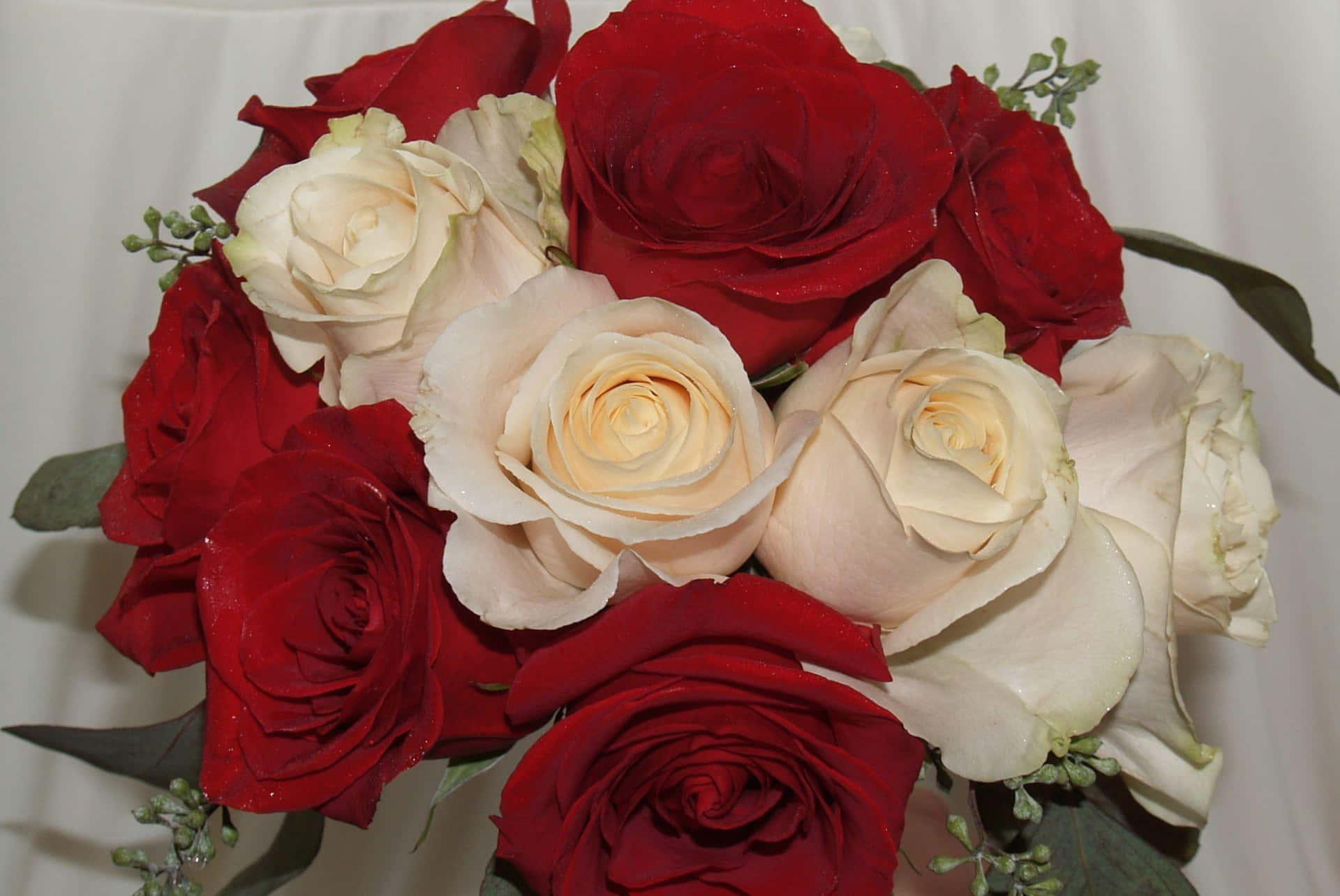 Enbuket Af Røde Og Hvide Roser.