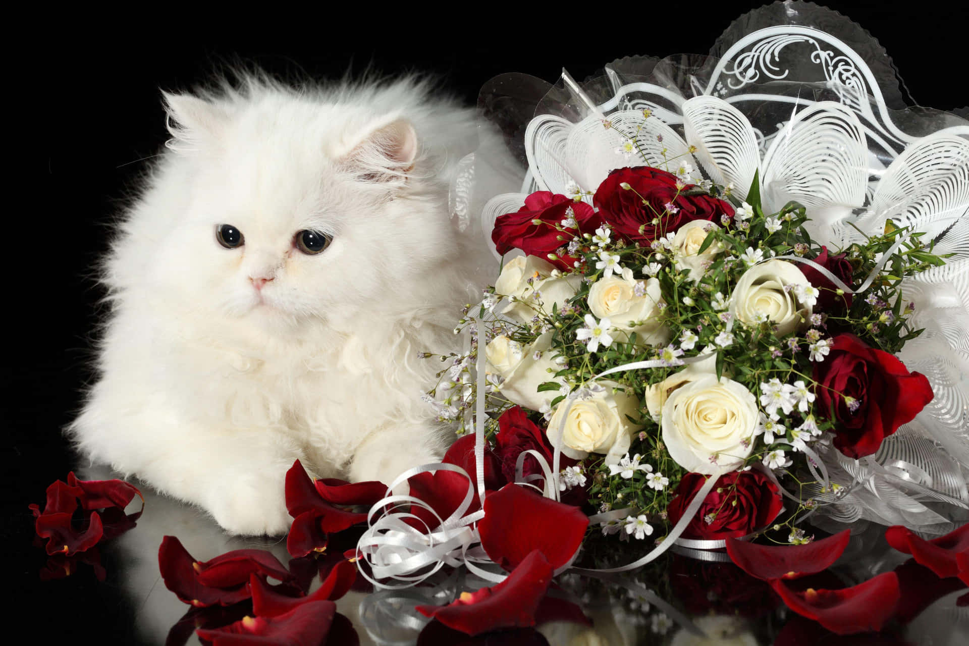 Eineweiße Katze Sitzt Auf Einem Blumenstrauß.