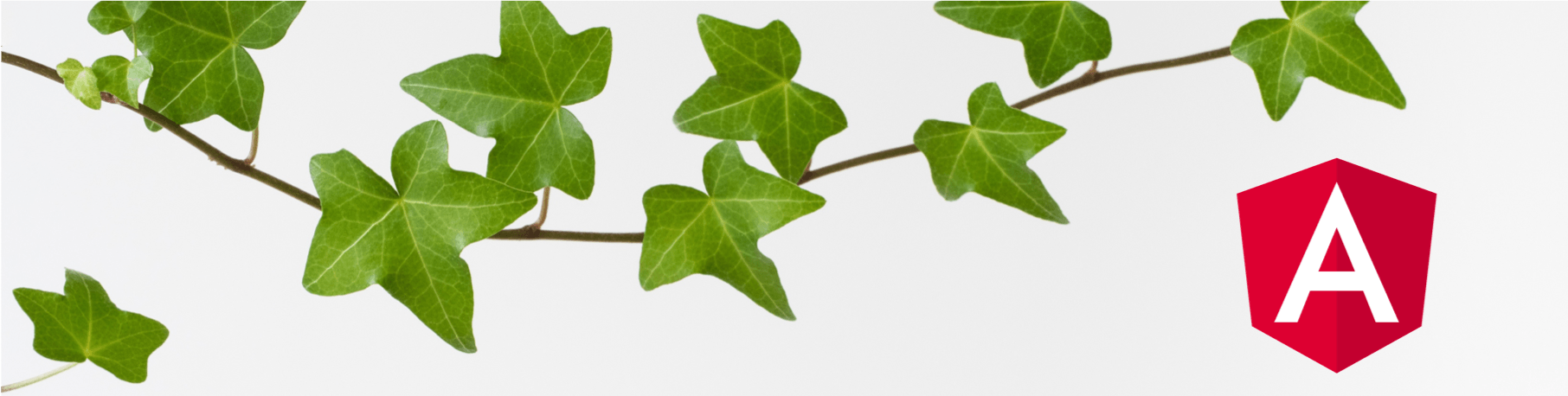 Ivy Branch White Background PNG