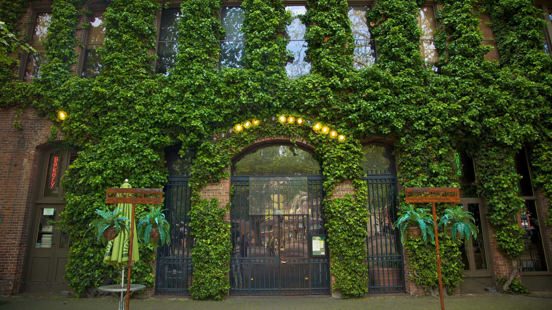 Ivy Covered Building Pioneer Square Seattle Wallpaper